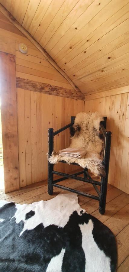 Vittfarnas Hird Vikingaby Bed & Breakfast Sosdala Екстериор снимка