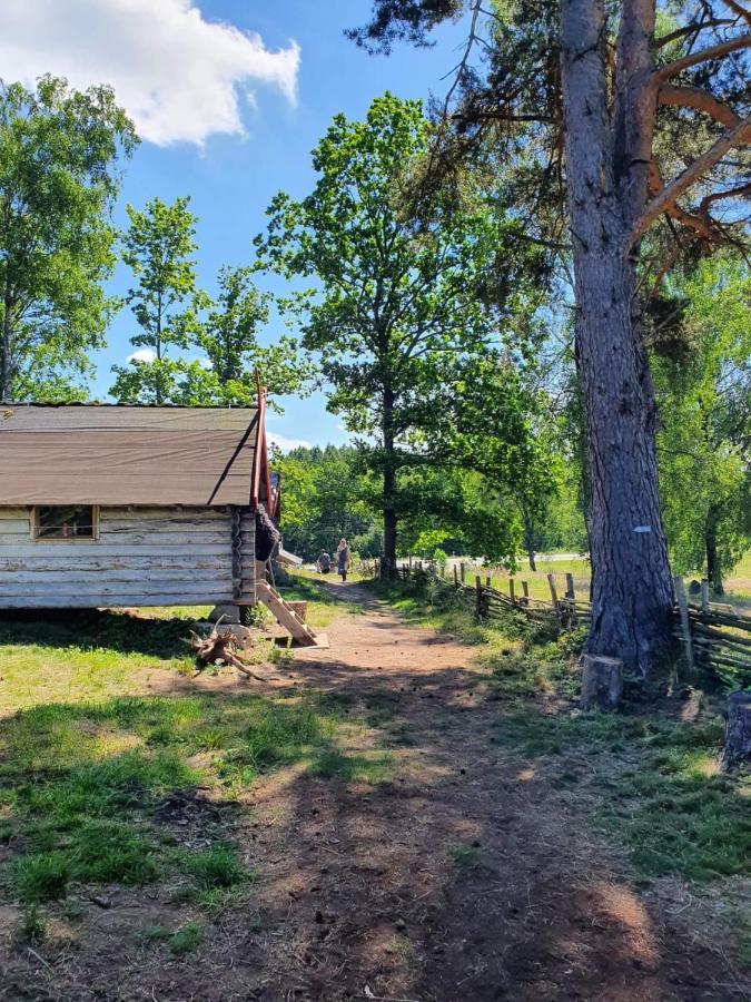 Vittfarnas Hird Vikingaby Bed & Breakfast Sosdala Екстериор снимка