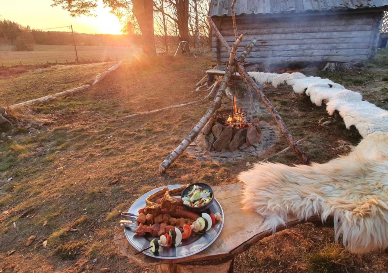 Vittfarnas Hird Vikingaby Bed & Breakfast Sosdala Екстериор снимка